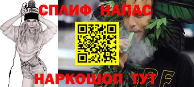 спиды Камышлов