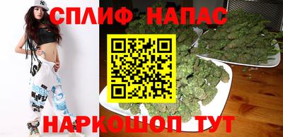 спиды Камышлов