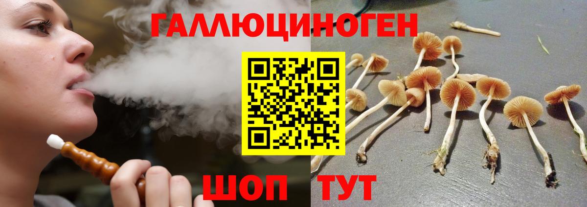 Псилоцибиновые грибы мухоморы  Вход с VPN  Магадан  Псилоцибиновые грибы Psilocybe 